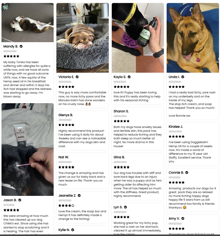 Dog Dermatitis Relief 🎈 Doggie Balm Co.